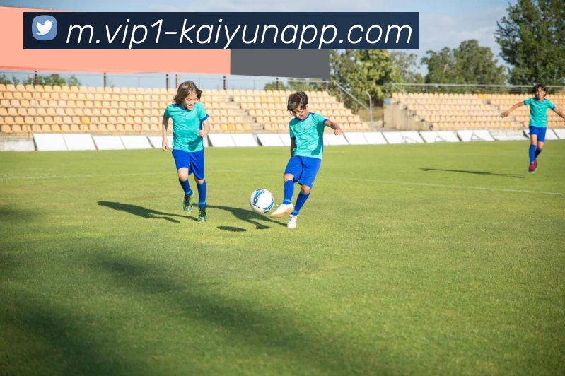 开云体育平台生态图