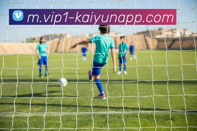 开云体育APP 封面图